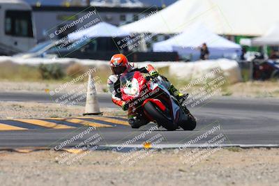 media/Apr-13-2024-SoCal Trackdays (Sat) [[f1617382bd]]/7-Turn 2 (1125am)/